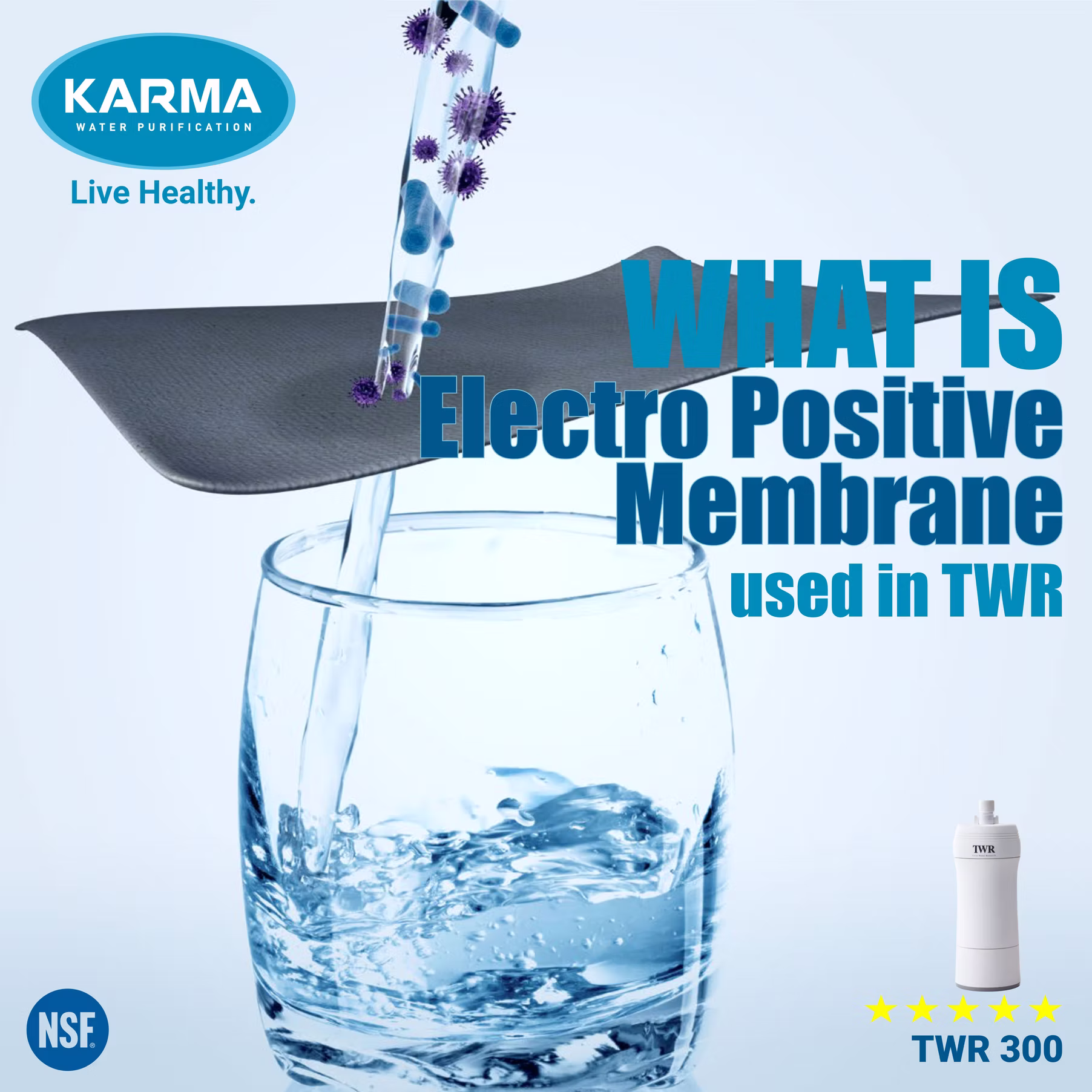 What is the Electro-Positive membrane used in TWR drinking water filters?